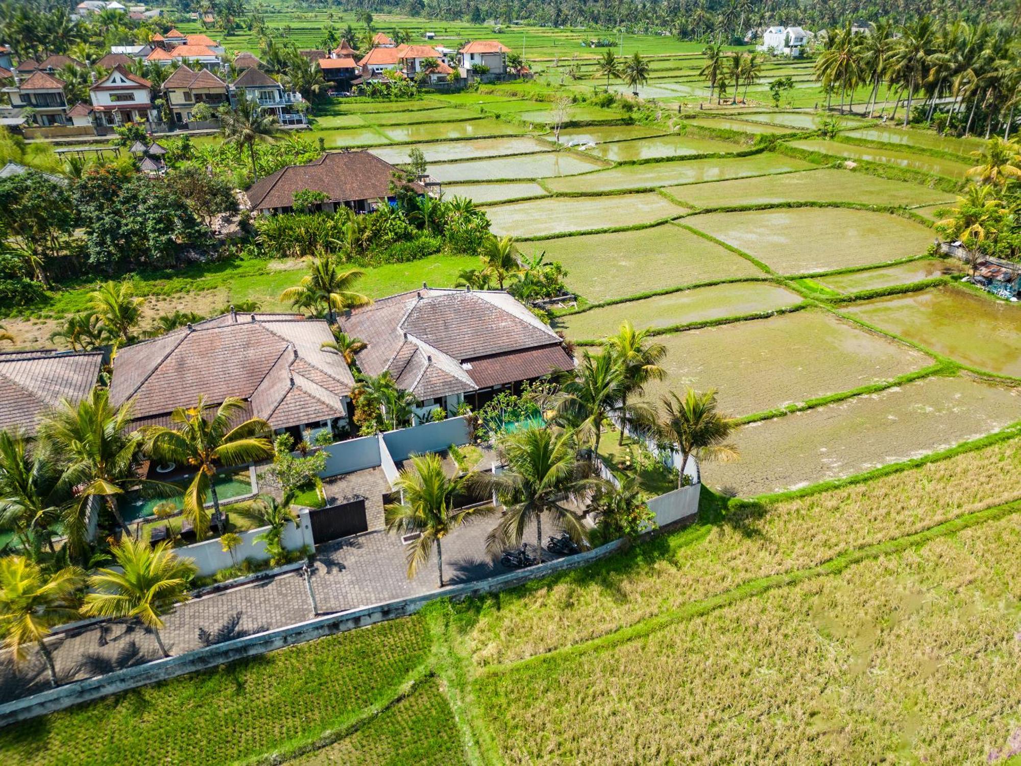 Villa Residences 888 - Complex Private With Pools Ubud (Bali)